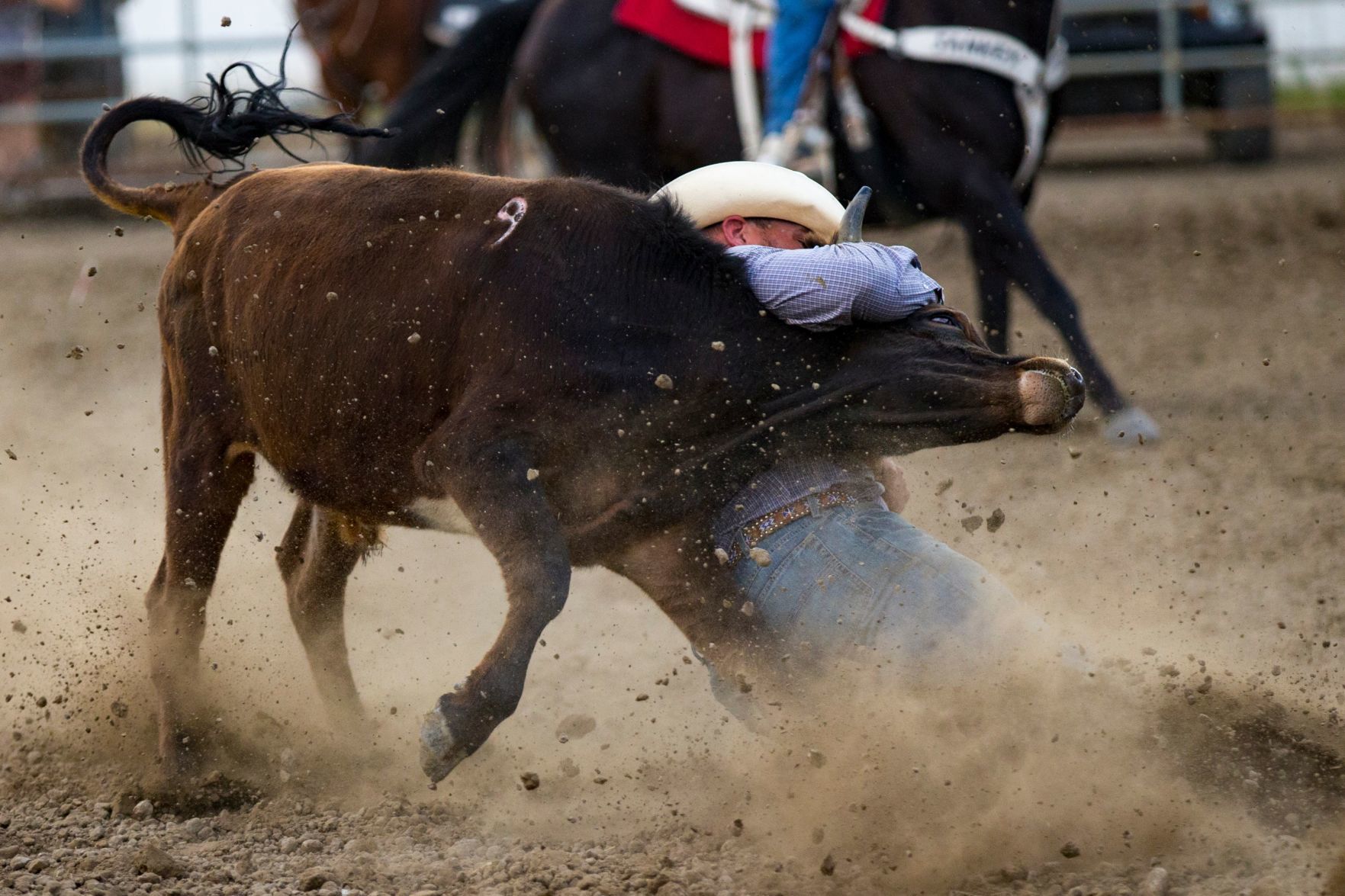 PRCA Yellowstone River Roundup